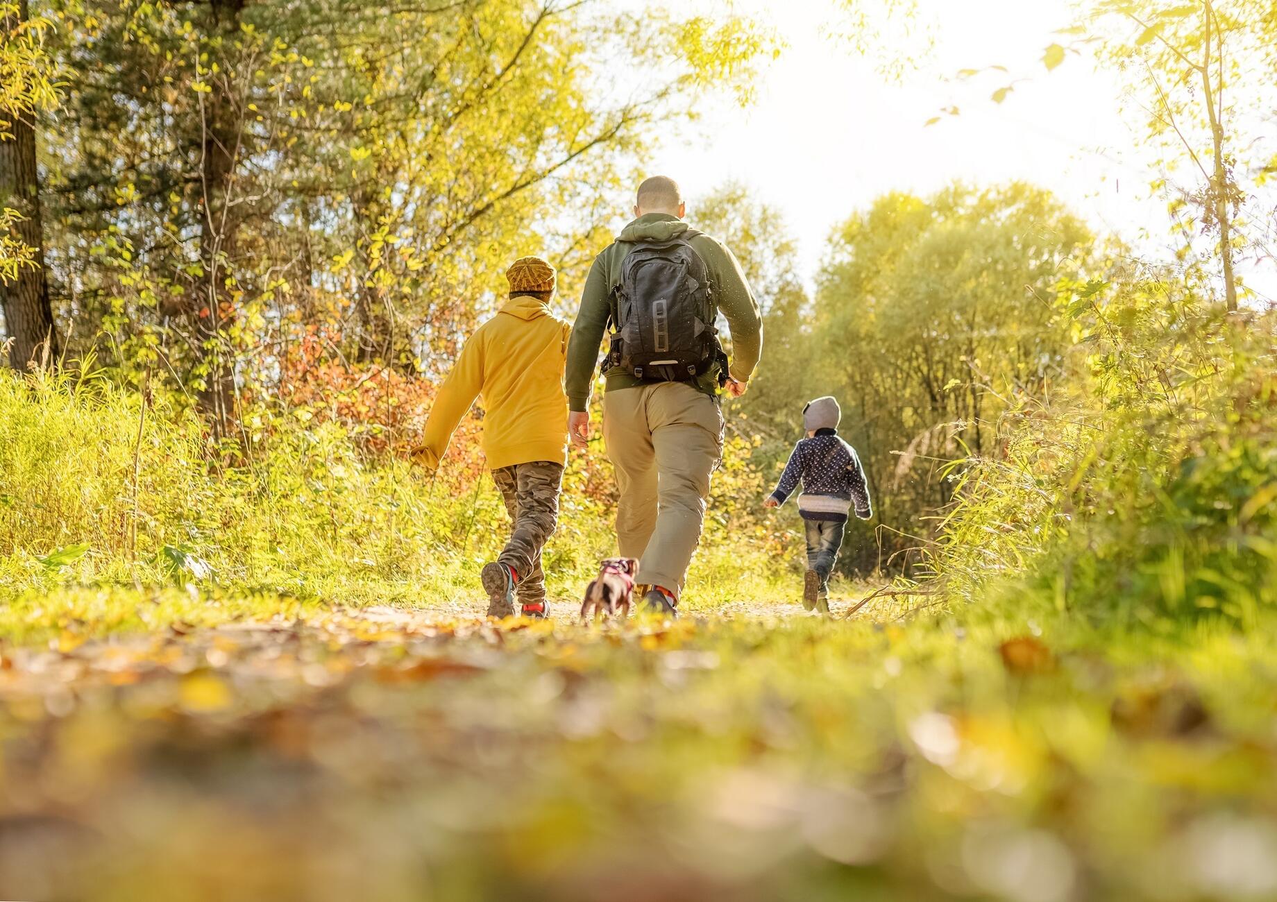 People walking in woodland