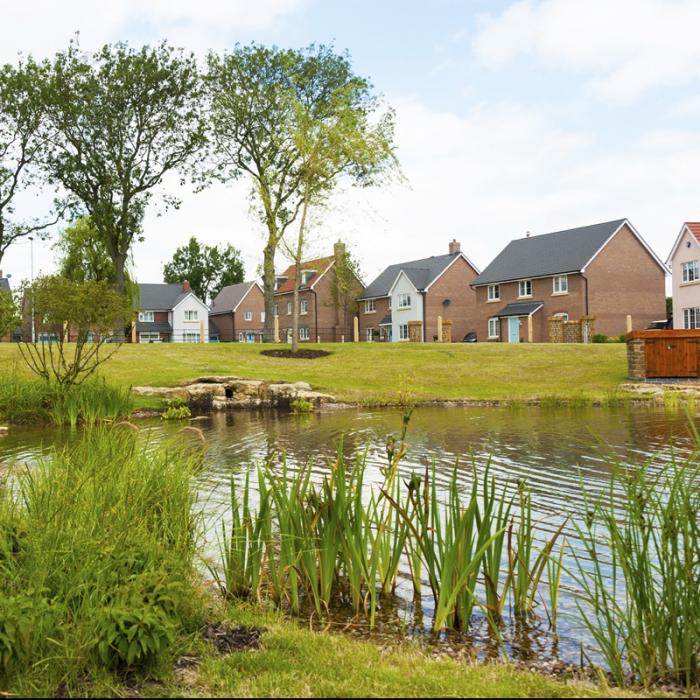 View of a housing estate across SUDS pond