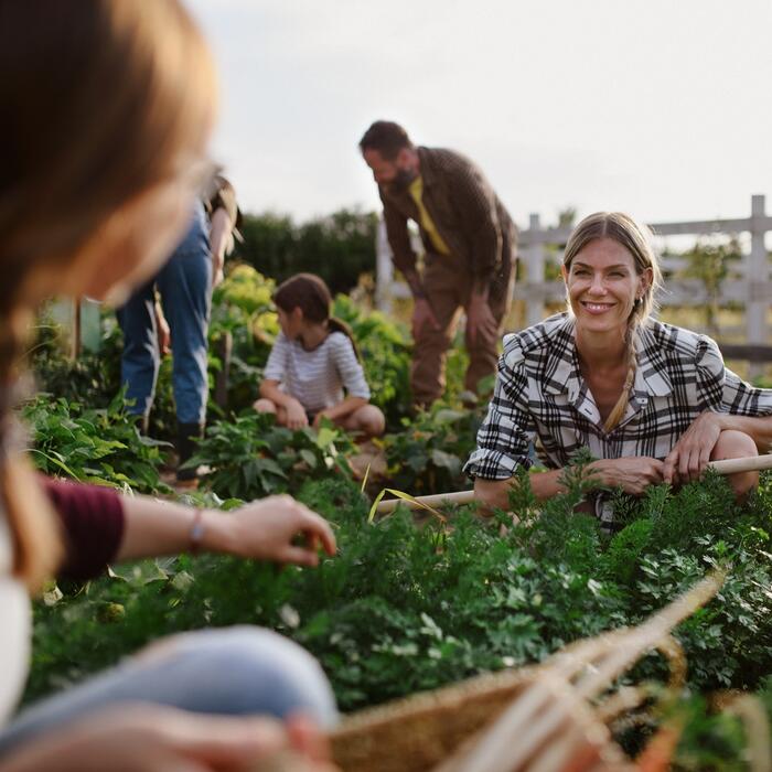 Community gardening